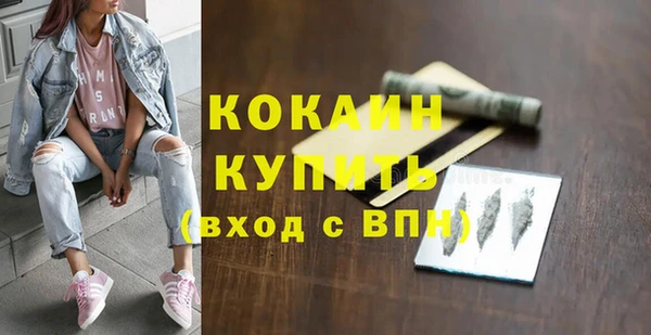 таблы Няндома