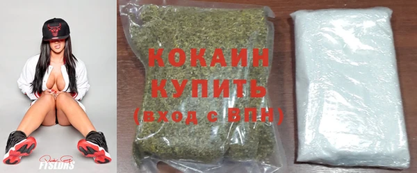 таблы Няндома